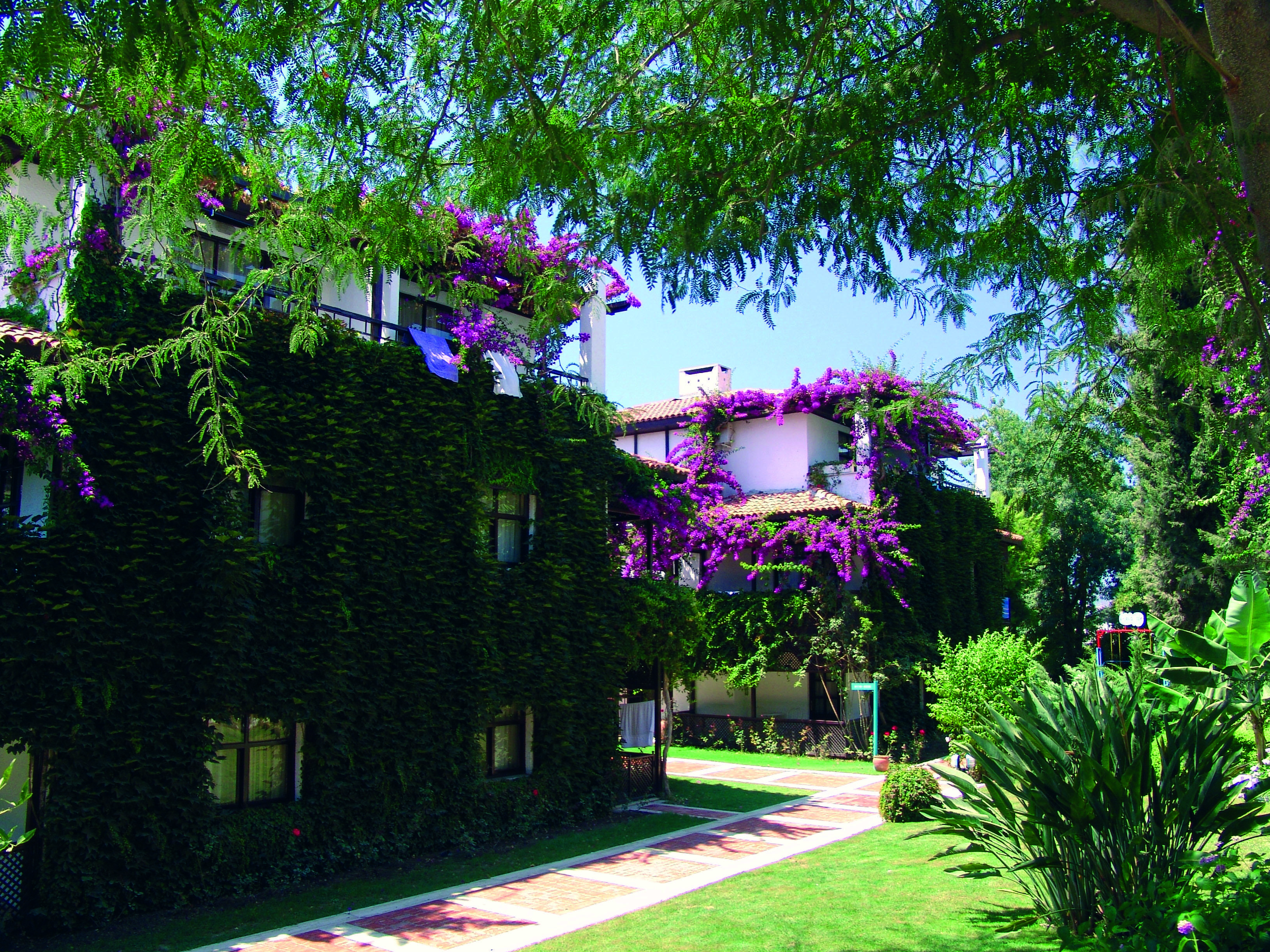 Titan Club Hotel Ultra All Inclusive Kargıcak Eksteriør billede