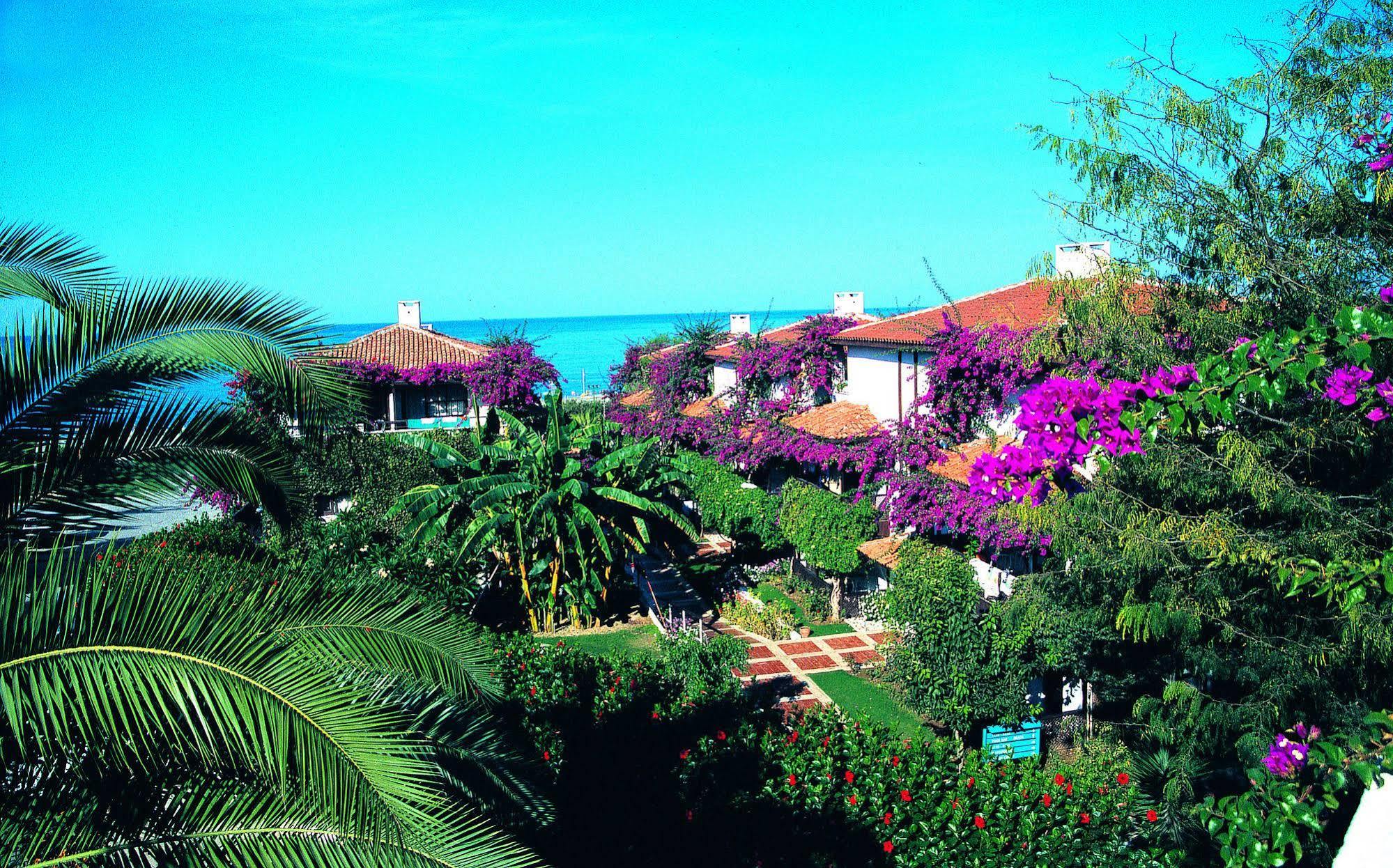 Titan Club Hotel Ultra All Inclusive Kargıcak Eksteriør billede
